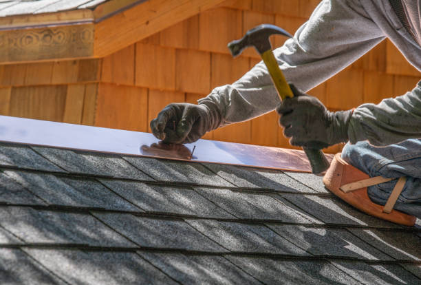 Best Roof Ventilation Installation  in Smith Valley, NV