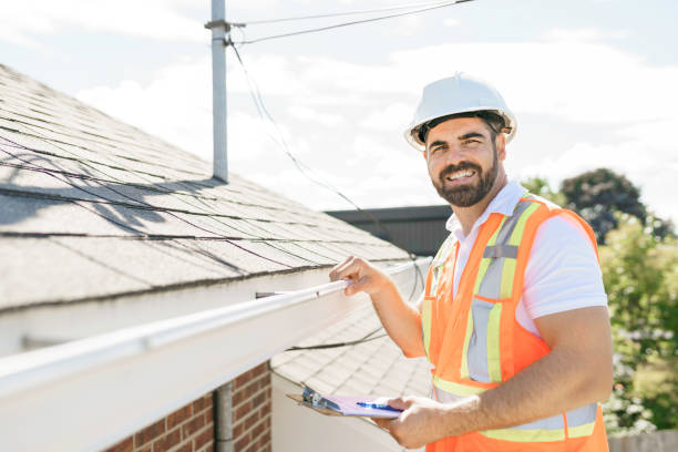 Best Roof Insulation Installation  in Smith Valley, NV
