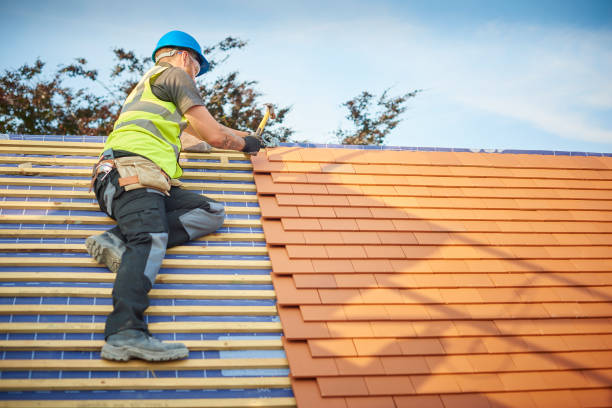 Best Roof Moss and Algae Removal  in Smith Valley, NV