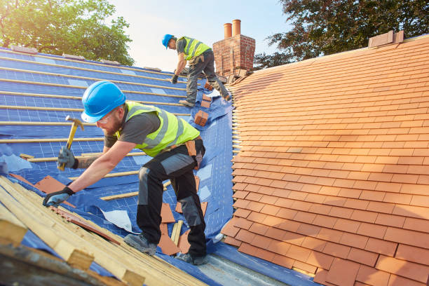 Best Roof Maintenance and Cleaning  in Smith Valley, NV
